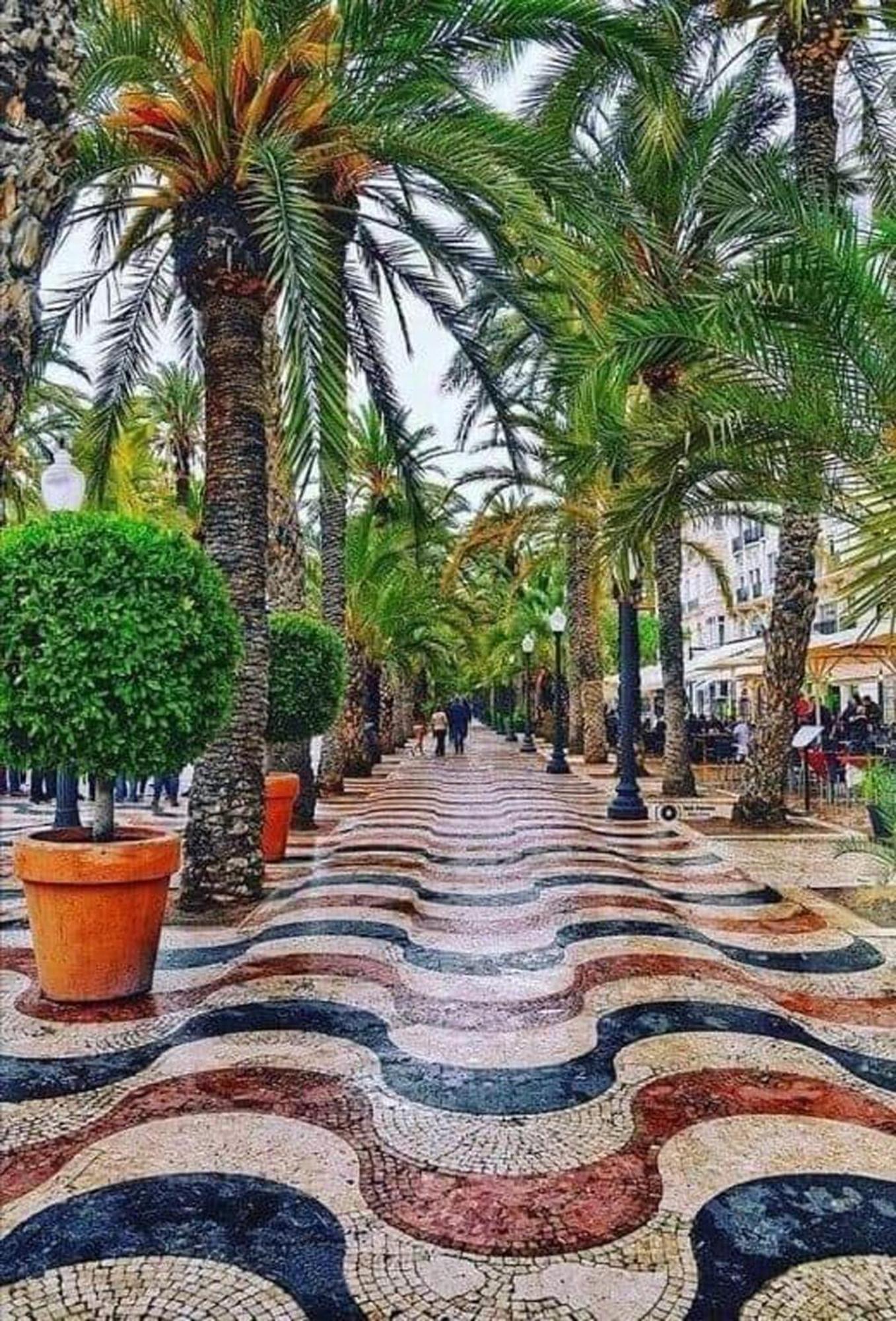 -Saint Thomas- Alicante Old Town מראה חיצוני תמונה